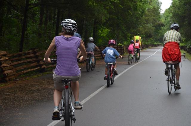 Bicyclists ride down a road bracketed by trees.