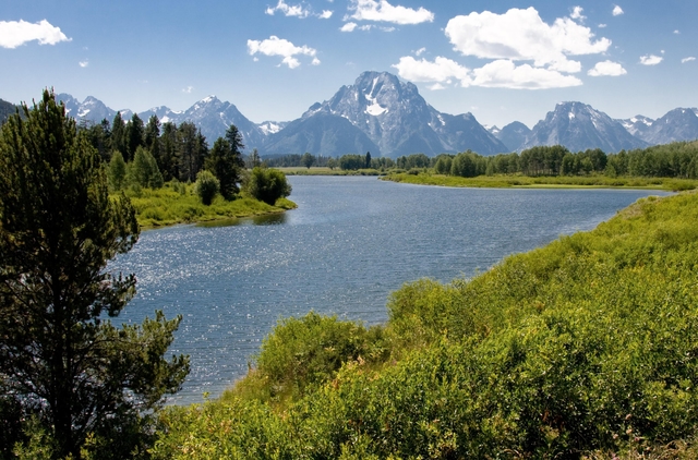 A shimmering body of water with green vegetation on the shores and mountains in the background.