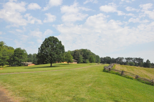 Park trail and part of pasture