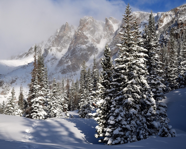 The ground is covered with fresh snow