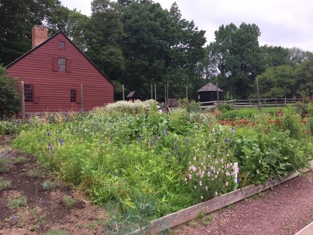 Garden with flowers and plants and 18th century farm house in background