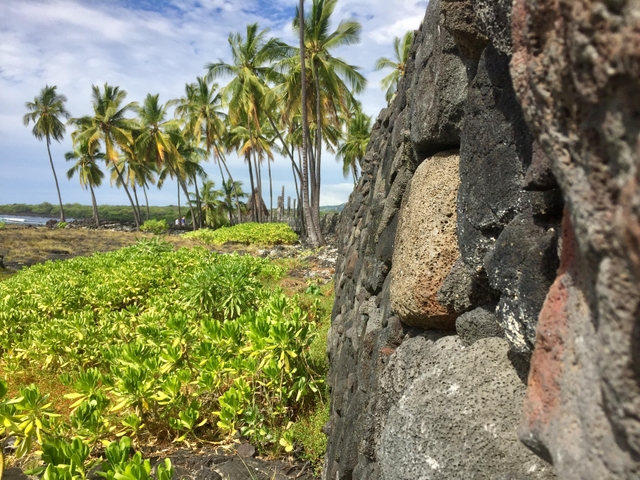 Close up image looking along the stones of the Great Wall in the Puʻuhonua with coconut trees