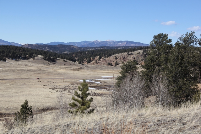 View of the Florissant valley with grassy meadows and mountains in the distance