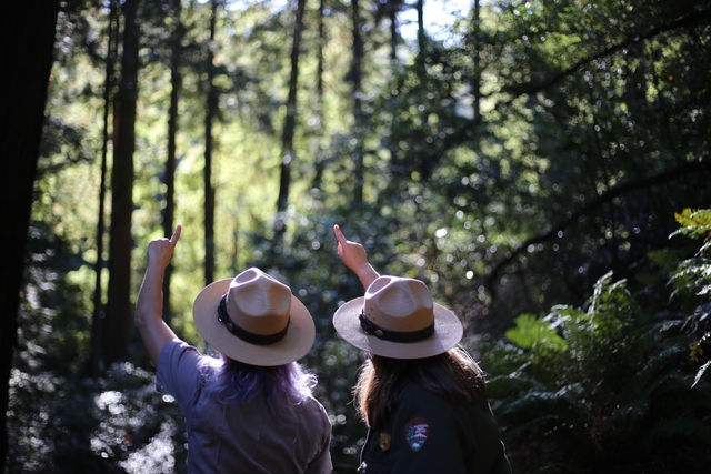 two rangers in flat hats with their backs to the camera point at trees in the distance