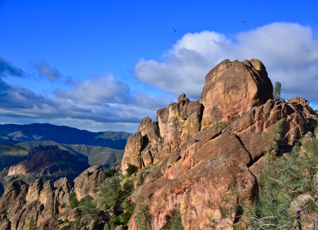 A massive rock spire with California condors flying above the peak.