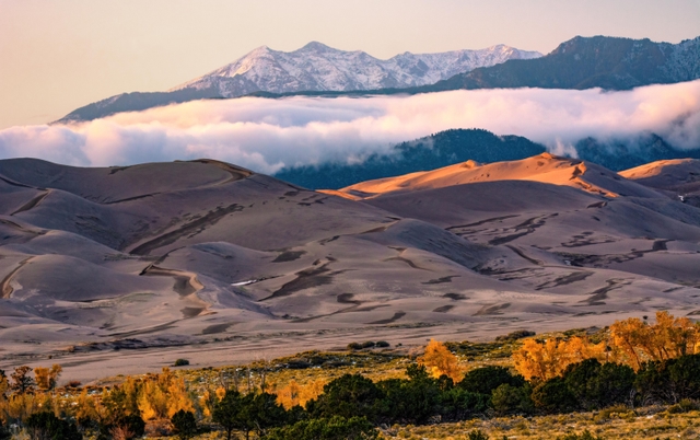 Gold cottonwood trees, large dunes, a silver cloud, and snow-capped mountain