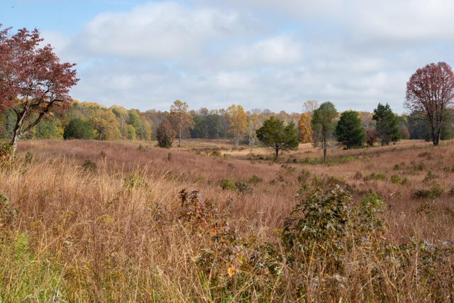 A bowl-shaped field surrounded by autumn trees.