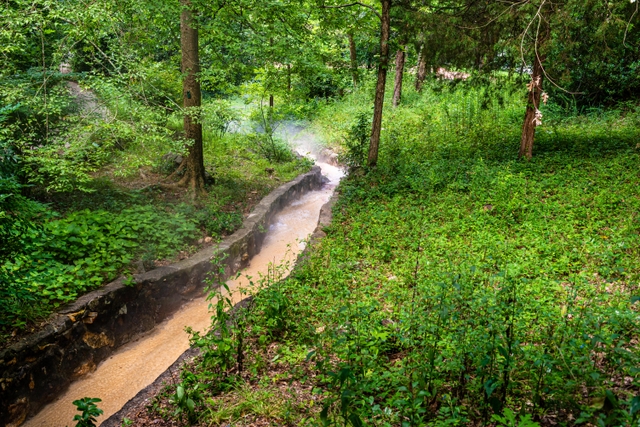 A stone tough in a green forest with water flowing down