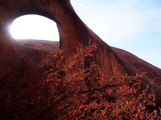 A red sandstone arch with red leaves in the foreground