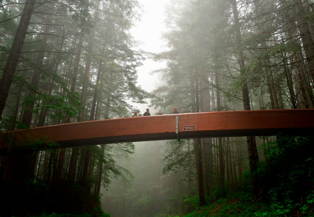 A footbridge with people crosses a road on a foggy day