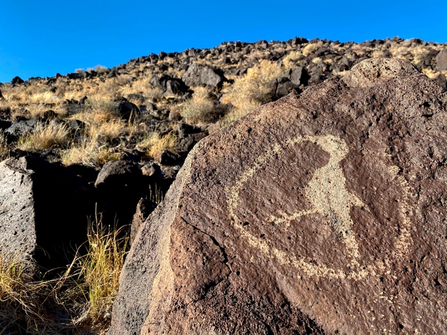 A petroglyph of a bird on a dark boulder.