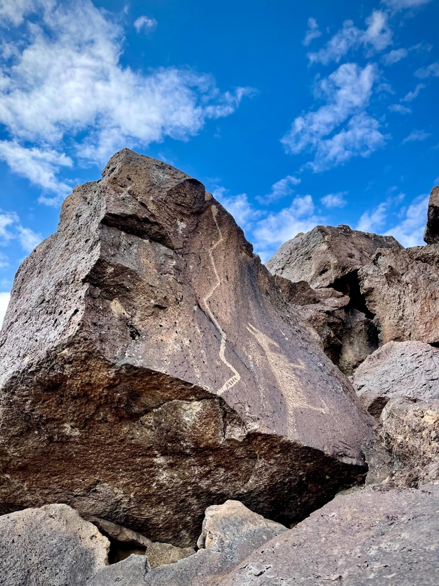 Petroglyphs of a coyote and a rattlesnake on a dark boulder.