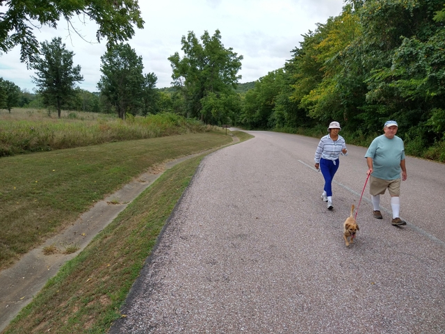 A man and woman walk with their dog on a paved road edged by trees and fields