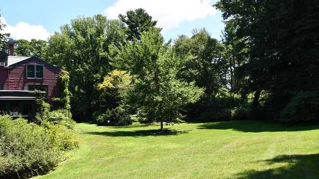 Large flat grassy area with one tree in middle, other on sides, next to large house