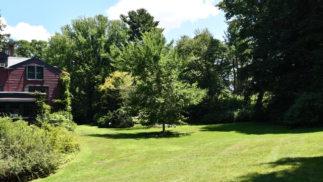 Large flat grassy area with one tree in middle, other on sides, next to large house