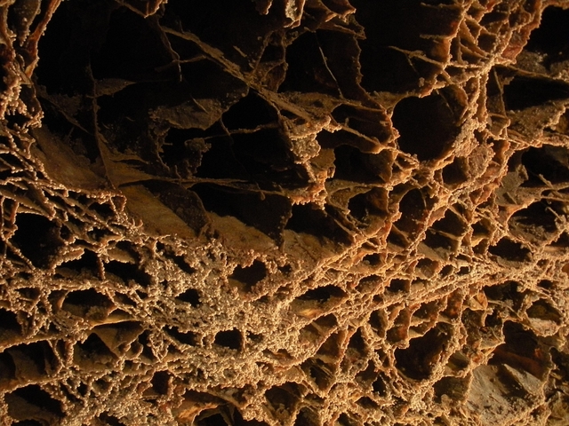 Thin fins of calcite forming box-shaped openings, called boxwork, on a cave ceiling.