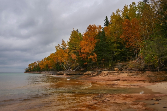 Golden and orange trees line a sandstone cliff rising above a beach on a cloudy autumn day